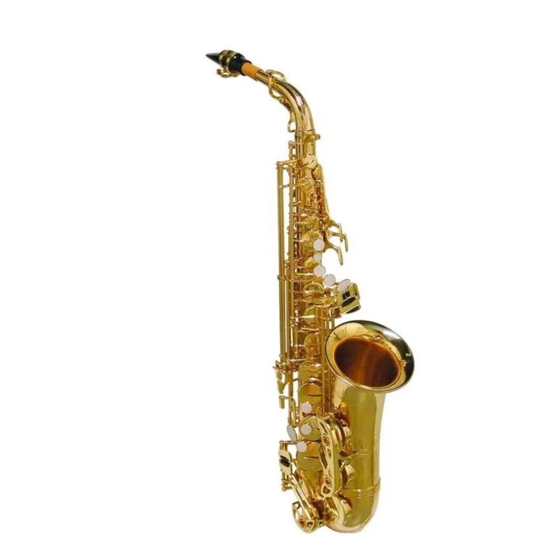 Vendita Finale OQAN OAS-615 sax