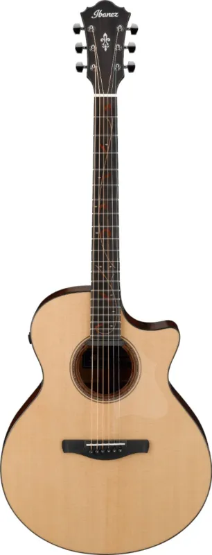 Ibanez Artwood AE325LGS Must-Have