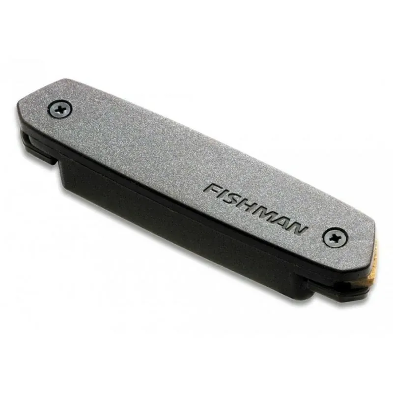 Fishman Neo-D - Pickup magnetico passivo da buca per chitarra Miglior Prezzo