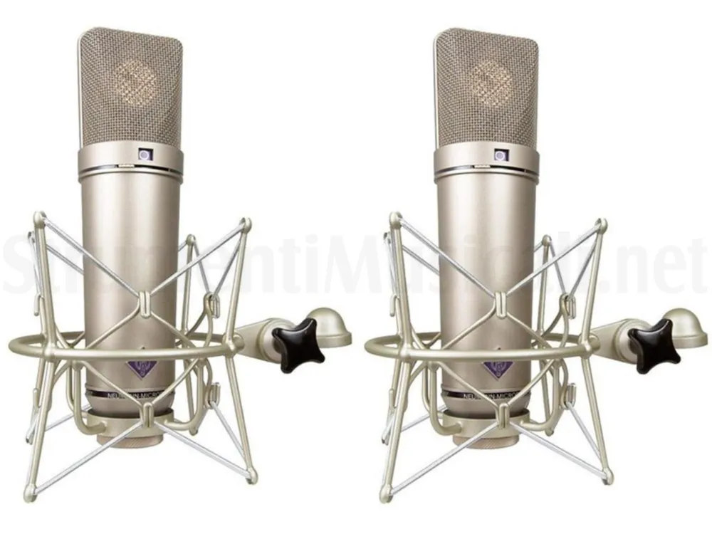 Professionale NEUMANN U87 Ai Stereo Set