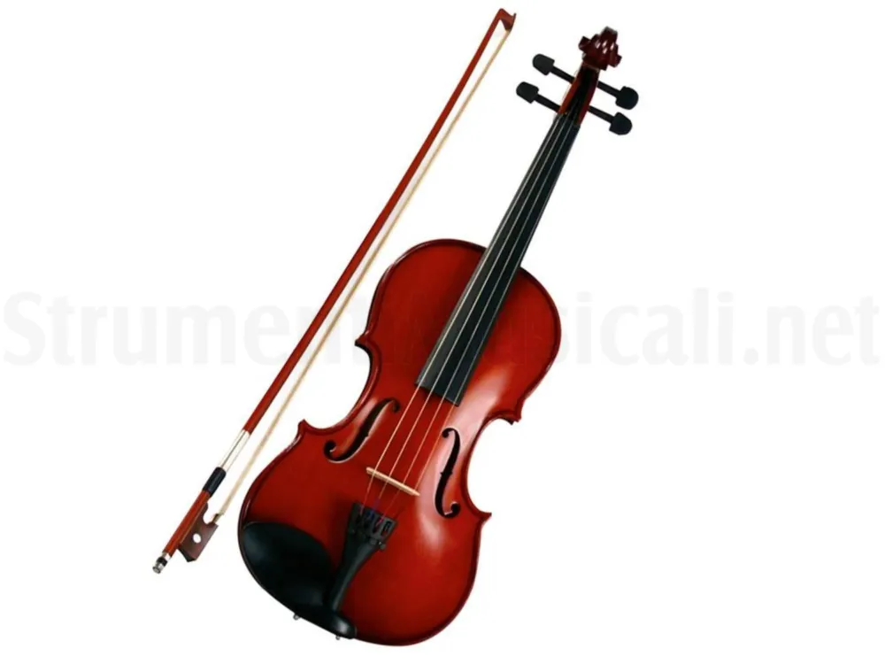 Economico EKO BOWED INSTRUMENTS EBV 1412 4/4