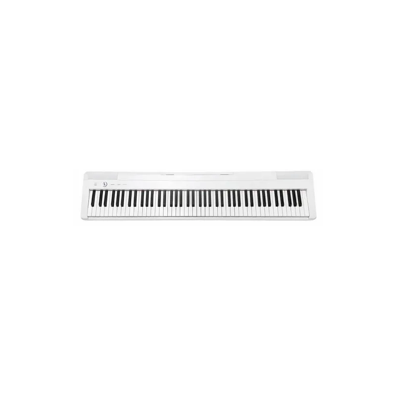 ECHORD EP-88/W Occasione
