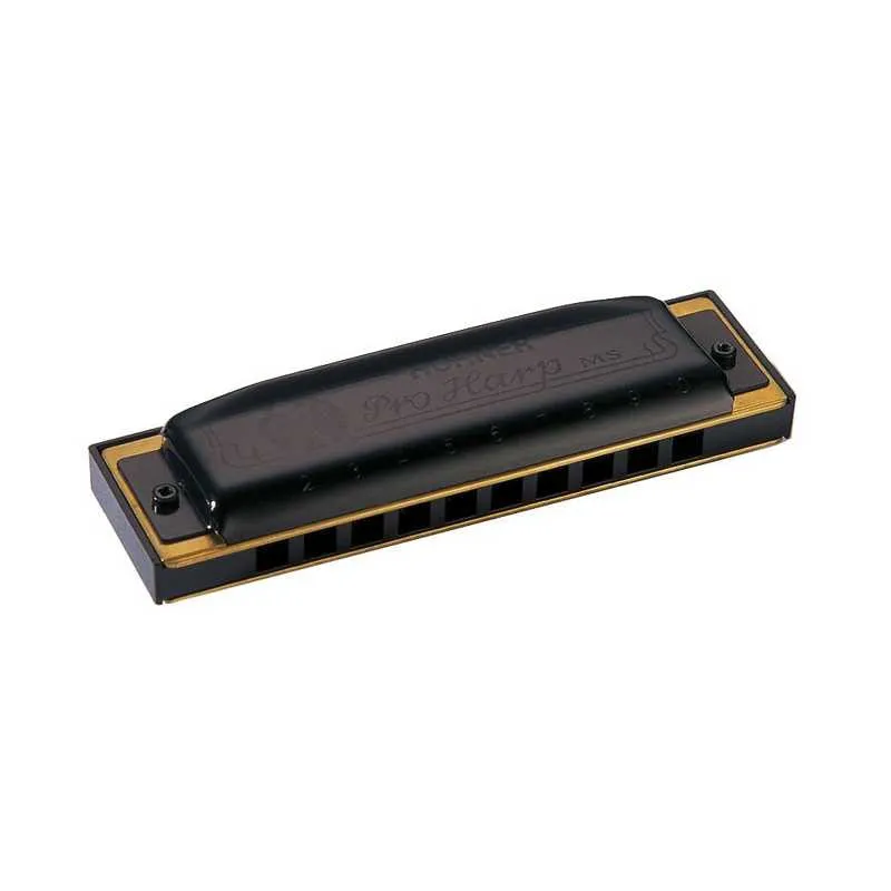 Solo Oggi HOHNER PRO HARP MS 562-20 E/MI - ARMONICA A BOCCA