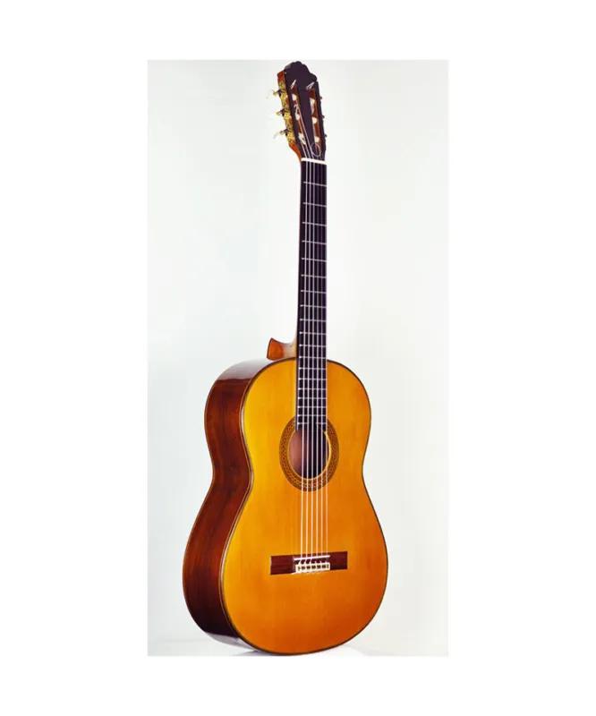 Offerta Del Giorno PAULINO BERNABE CHITARRA P.BERNABE MOD.30 TAVOLA CEDRO