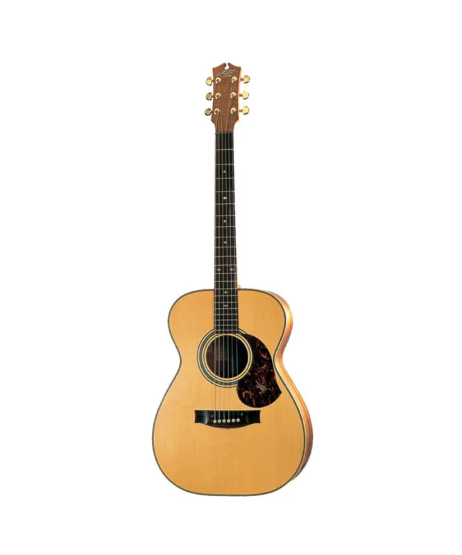 MATON EBG808 ARTIST Offerta Lampo
