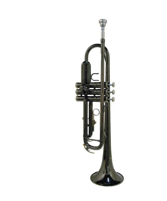 Prezzo Di Fabbrica STEWART ELLIS SE-1800-BC TROMBA CON ASTUCCIO SEMI-RIGIDO