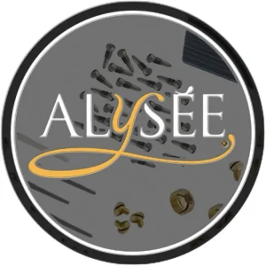 ALYSÉE SET MOLLE SAX ALTO Super Prezzo
