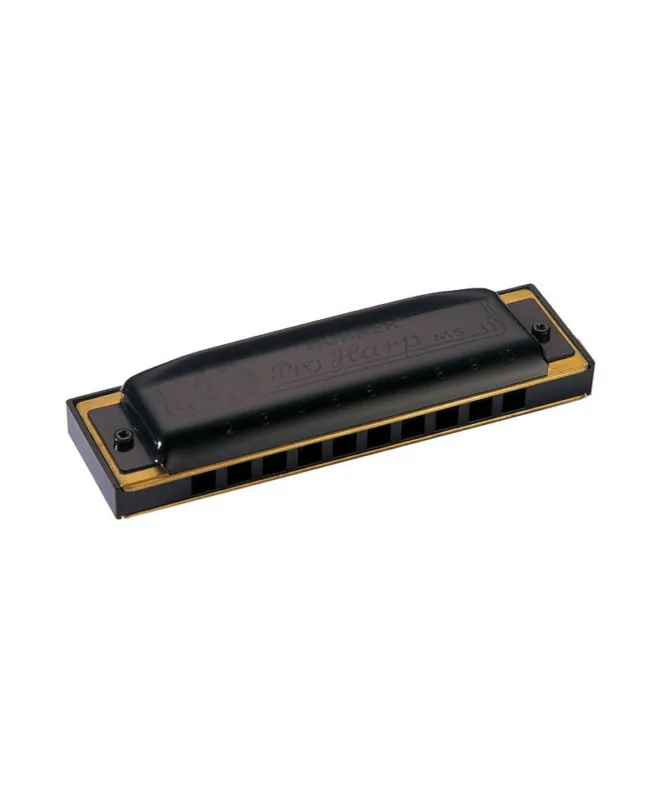 Vendita Finale HOHNER PRO HARP F-MAJOR
