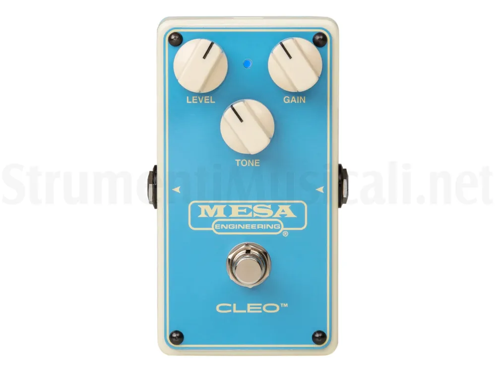MESA BOOGIE Cleo Nuovo Arrivo