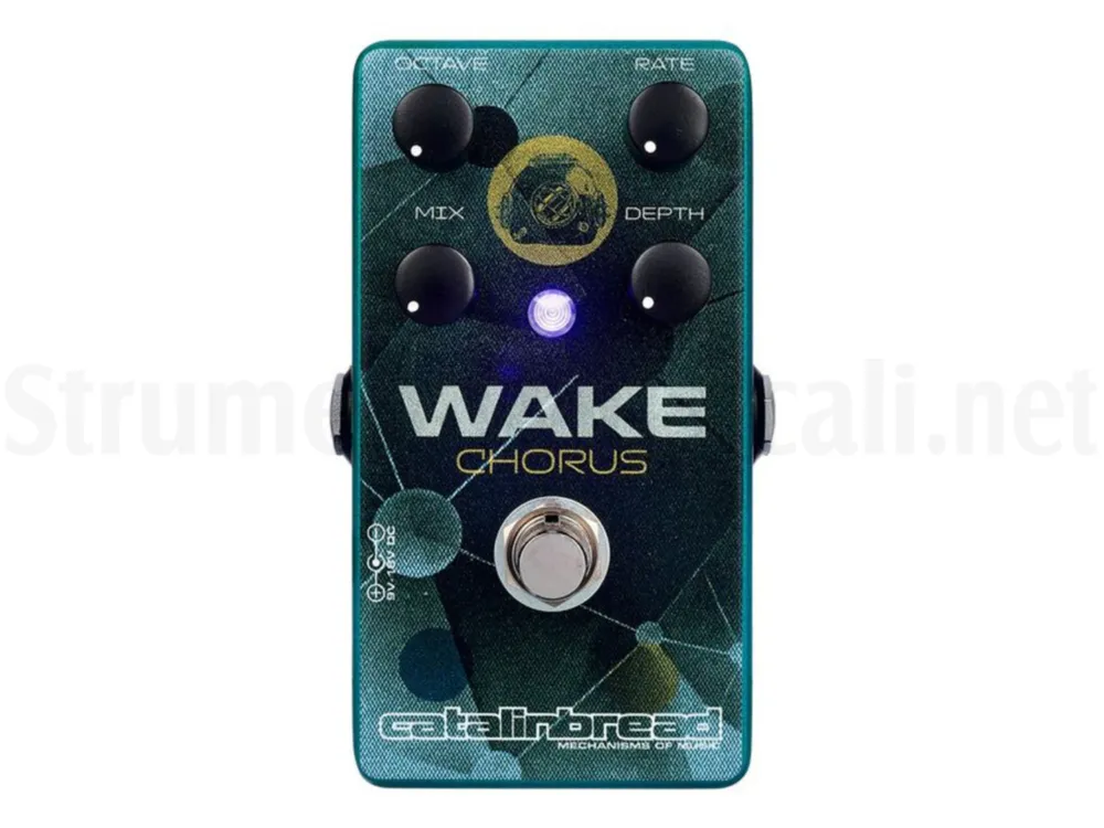 CATALINBREAD Wake Must-Have