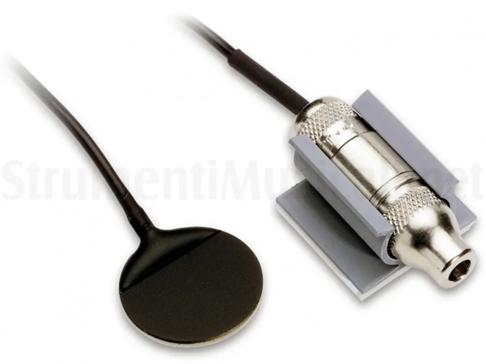 Occasione FISHMAN Pro SBT-C
