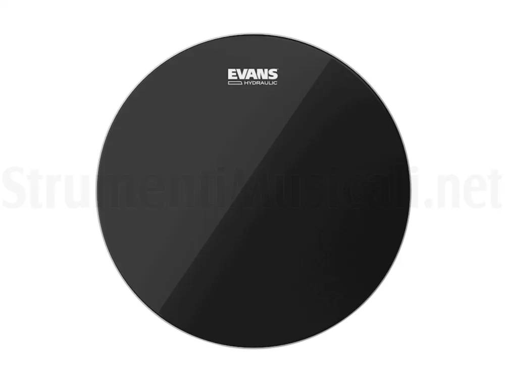 Offerta Limitata EVANS 22