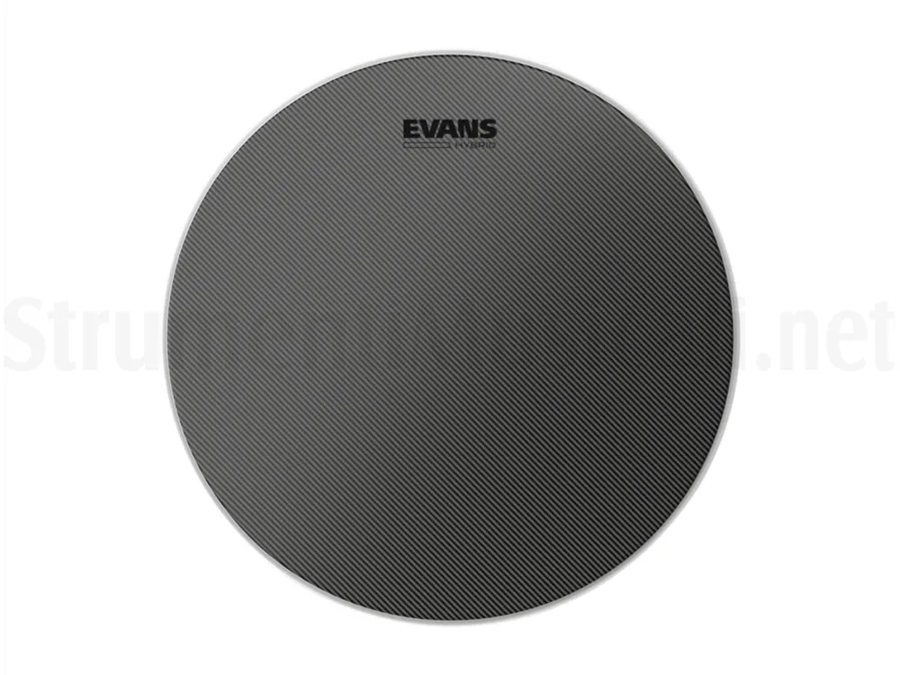 EVANS 14 Ordina Subito