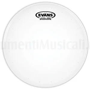 Subito Disponibile EVANS 12