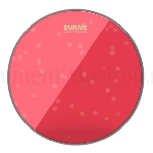 EVANS 10 Offerta Speciale