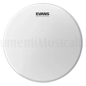 Ultime Pezzi EVANS 10
