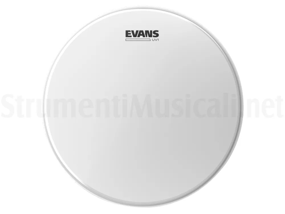 Popolare EVANS 12