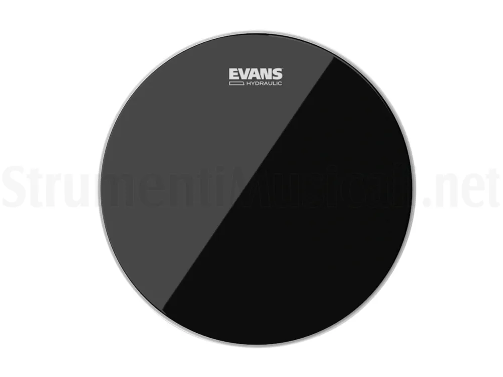 EVANS 12 Esclusivo