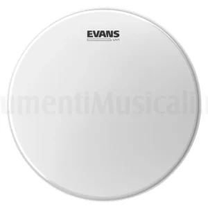 A Buon Prezzo EVANS 13