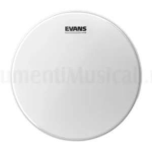 Direttamente Dal Produttore EVANS 13