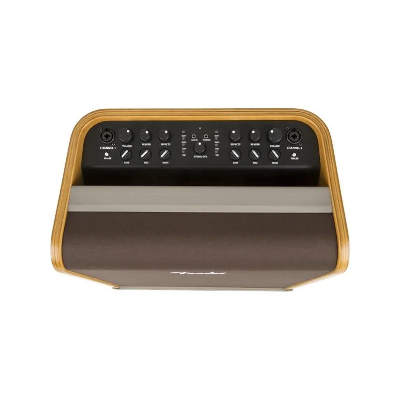 Nuovo Arrivo Fender Acoustic SFX