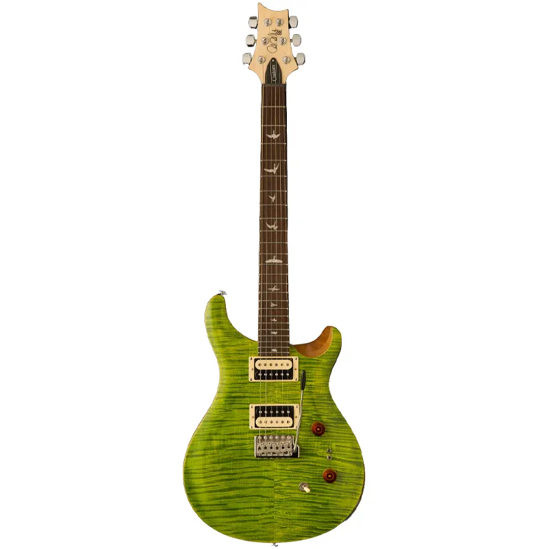 Prezzo Ridotto PRS SE Custom 24-08 Eriza Verde