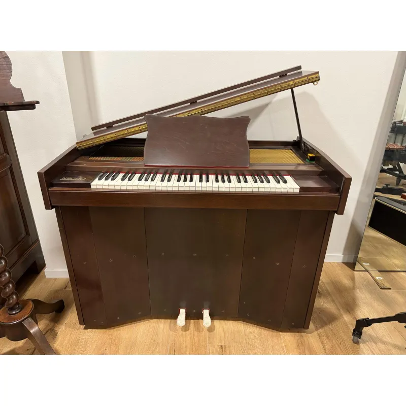 Celesta Negro 61 tasti Meccanica piano in Demo Super Prezzo