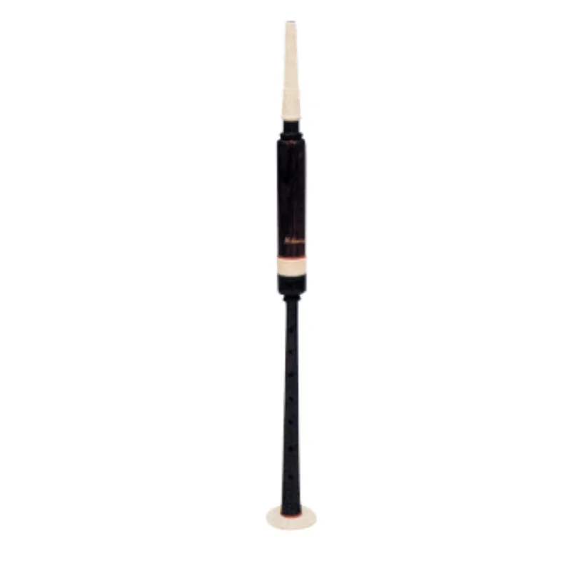 CHANTER S29 PER STUDIO CORNAMUSA Spedizione Espresso