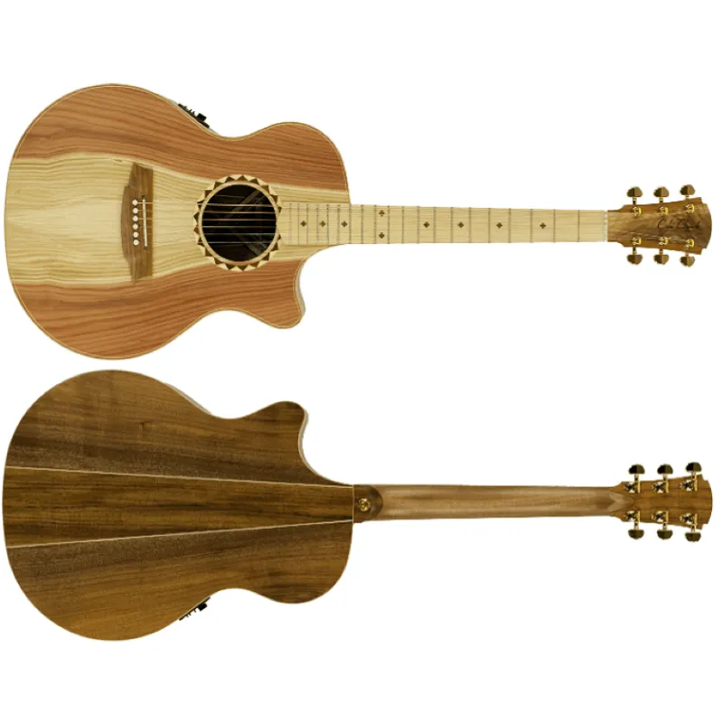Cole Clark Angel AN2EC All Blackwood CCAN2EC-RDBLSB Saldi