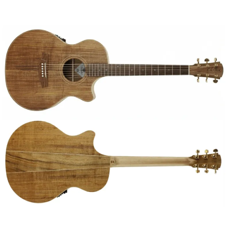 Scelto Dai Clienti Cole Clark Fat Lady FL2EC BB Elettrificata Thin Line