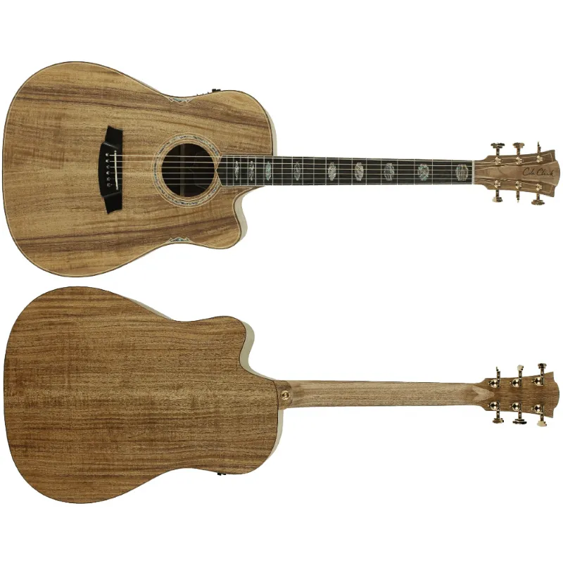Prezzo Scontato Cole Clark Fat Lady FL3EC All Blackwood Ebony CCFL3EC-BLBL