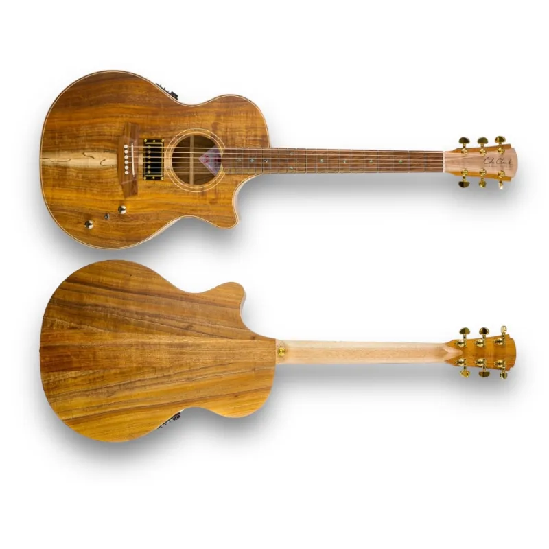 Compra Adesso Cole Clark Thin Line TL2EC-BLBL-HUM