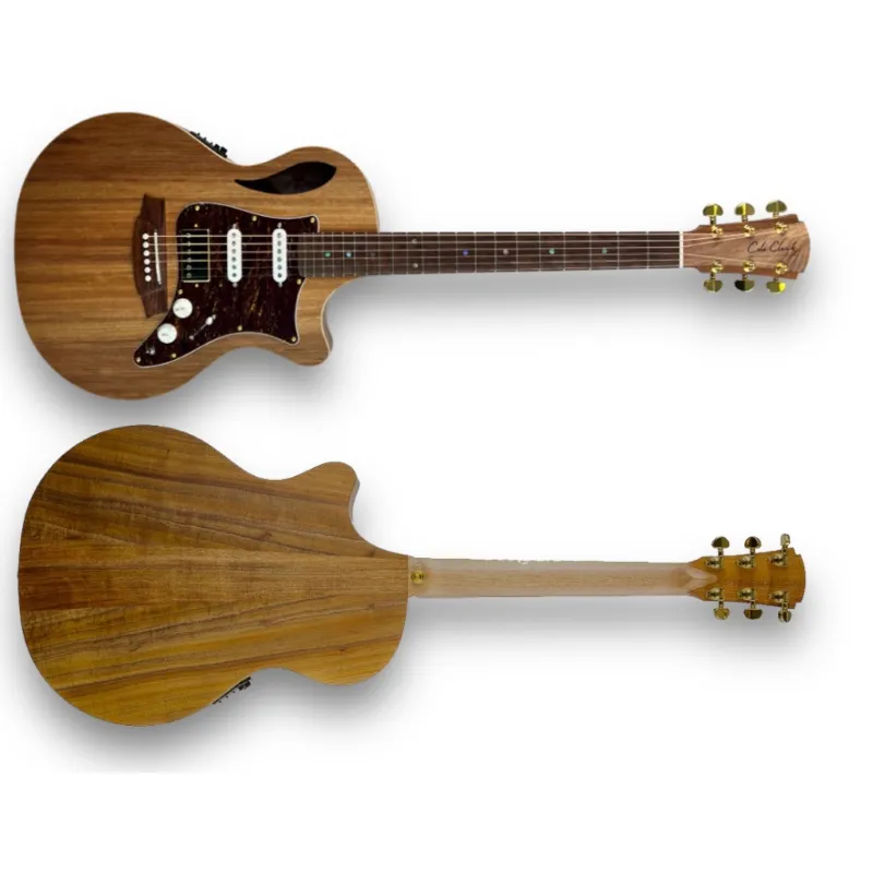 Nuova Collezione Cole Clark True Hybrid Thinline TL2EC-BLBL-HSS