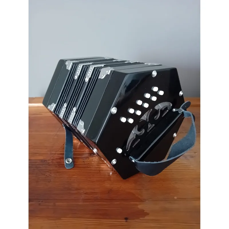 Scelto Dai Clienti CROSIO CONCERTINA Esagonale 20 voci, Nera c/borsa