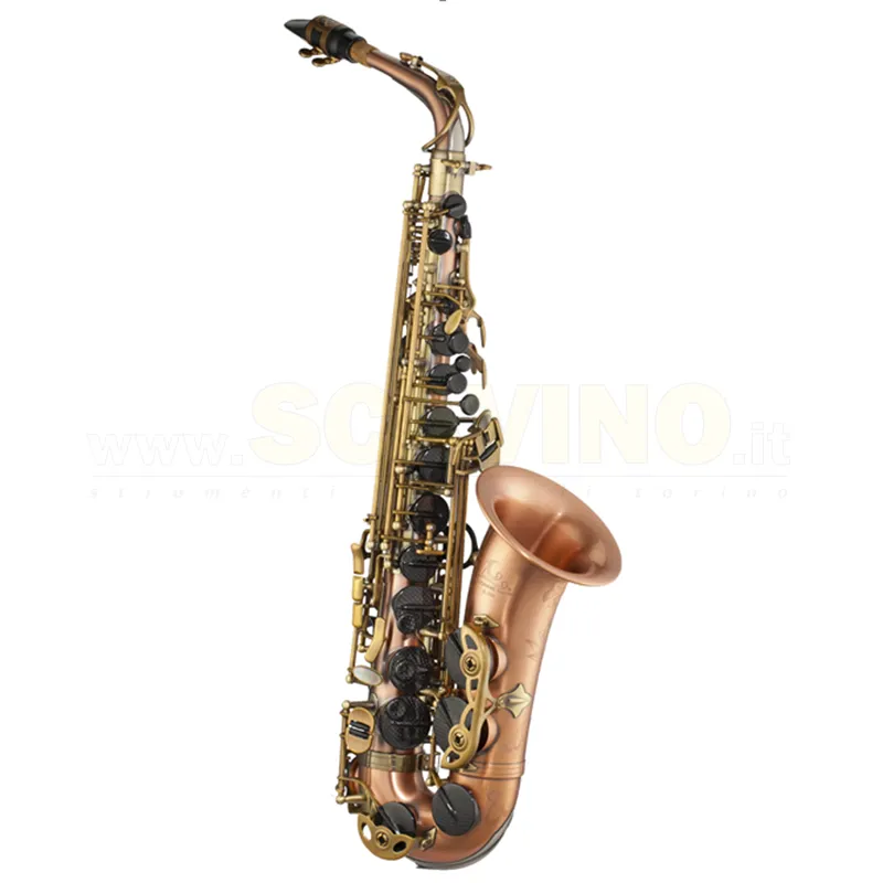 Lien Cheng A-804CB Sax Alto con Chiavi in Fibra di Carbonio Sconto