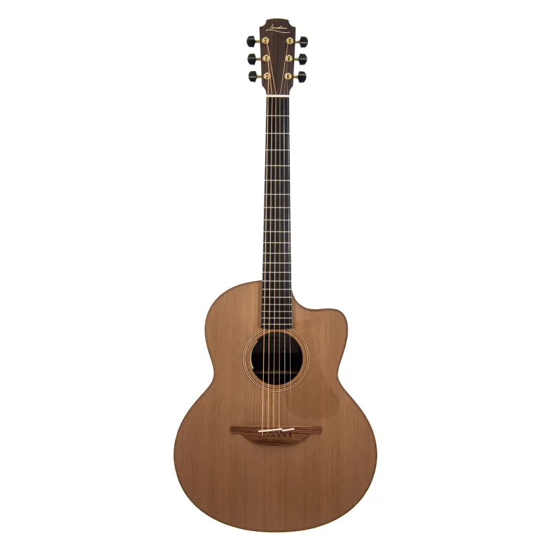 Affare Lowden Original F-25C elettrificata