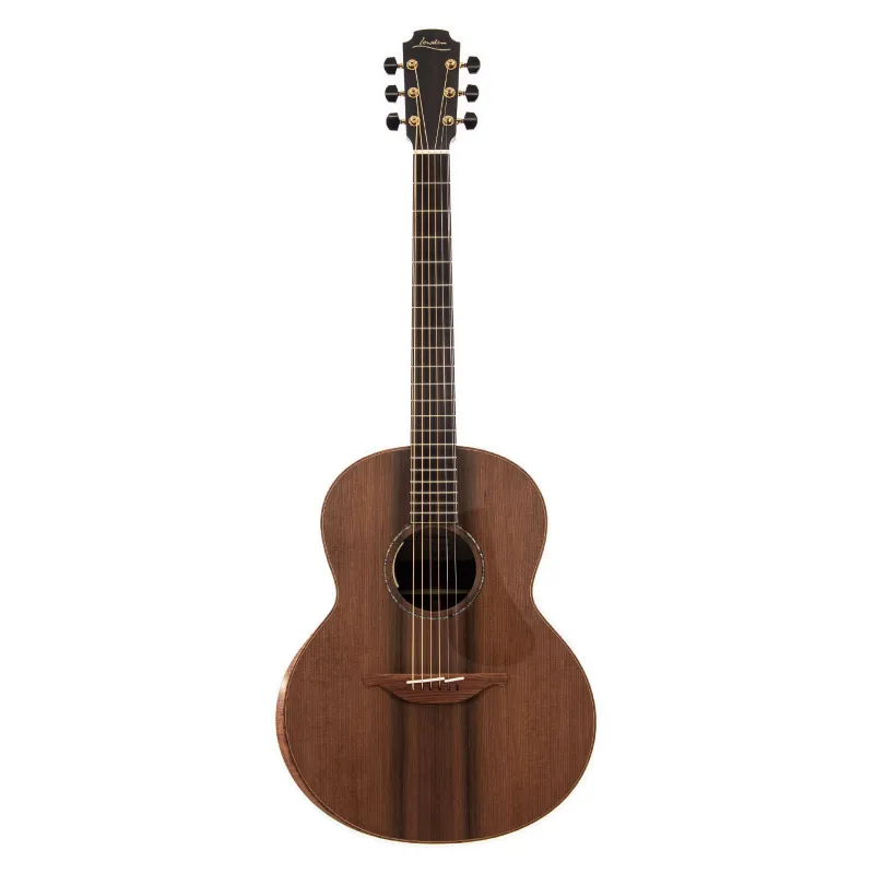 Lowden The 35 F-35-IR/RW elettrificata Di Tendenza