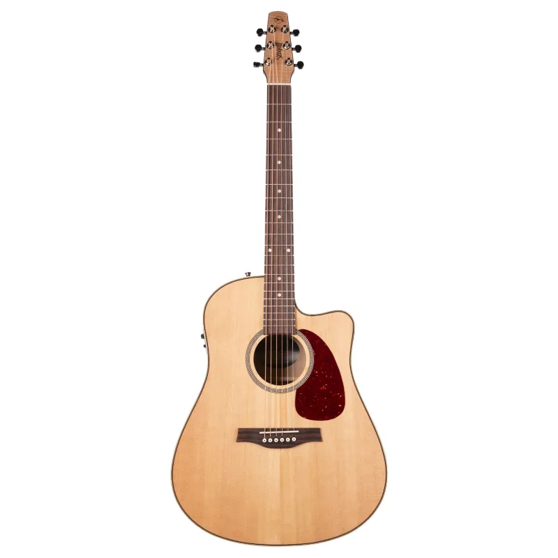 Seagull Performer CW HG Presys II Occasione