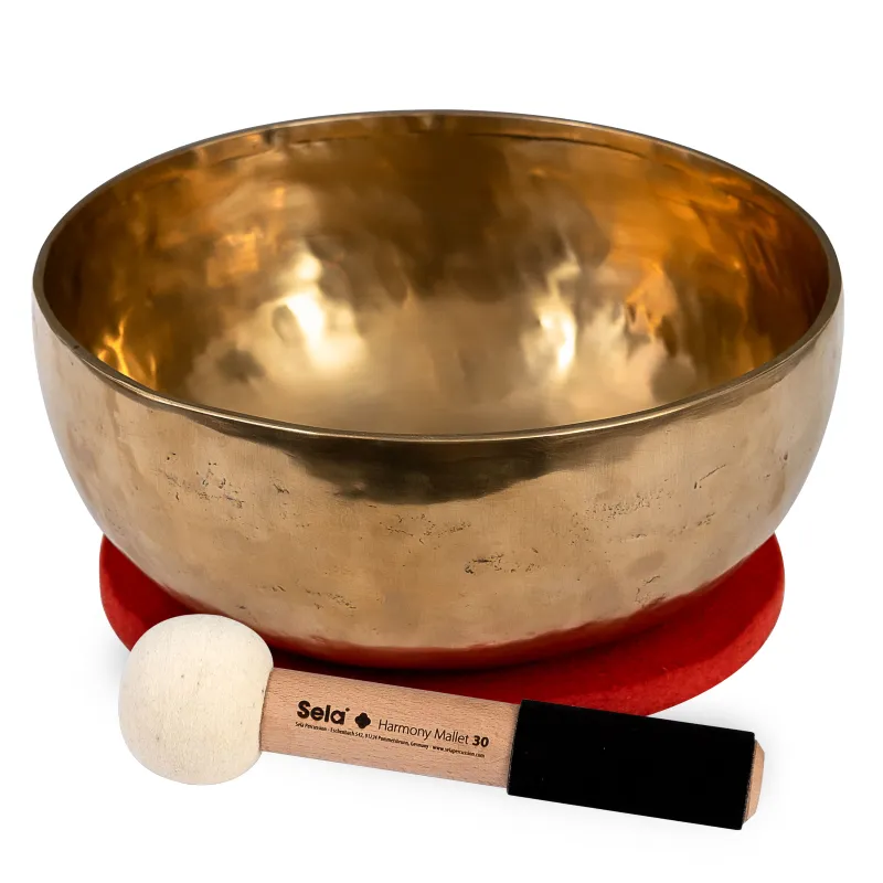 Prezzo Scontato Sela SE-265 Harmony Singing Bowl 26 (Ø 26 cm)