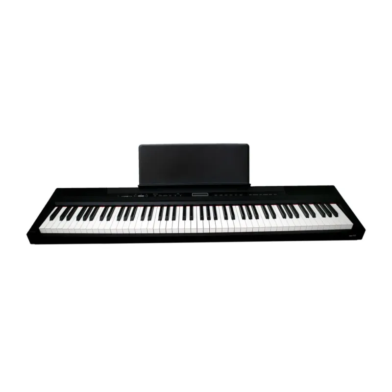 Compra Adesso ECHORD SP-10 BLACK