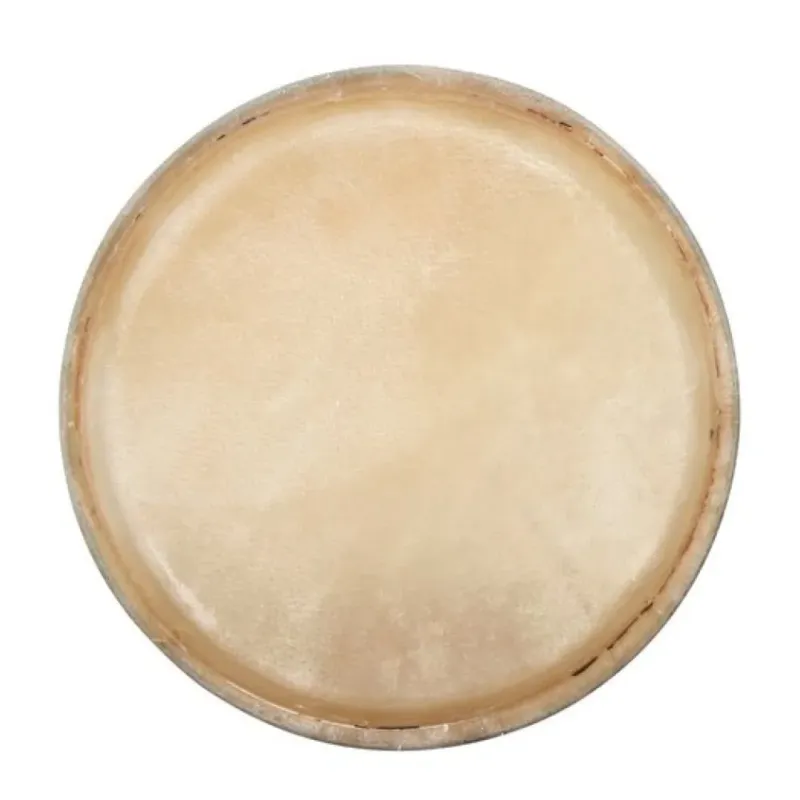 GEWAPURE PELLE CONGA 10″ Scelto Dai Clienti