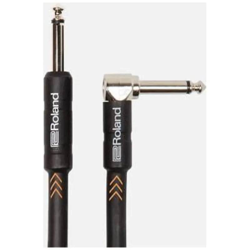ROLAND RICB10A Prezzo Conveniente