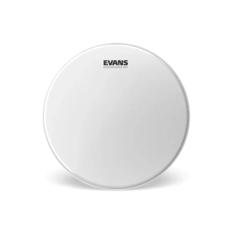 EVANS 12″ UV1 BATTER Offerta