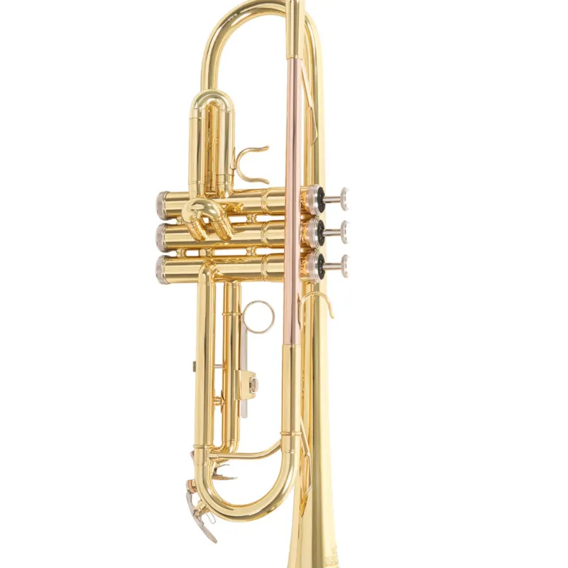 Super Prezzo Roy Benson Bb-Trumpet Roy Benson TR-101 - TR-101