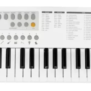 Novità ECHORD SK37 TASTIERA PIANOLA SCUOLA 37 TASTI MINI CON USB