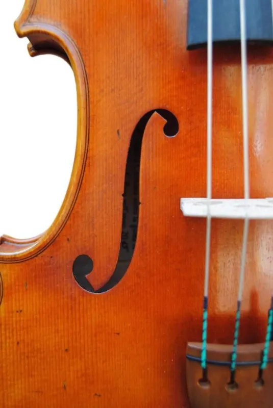 Edgar russ viola linea macchi Acquista Ora