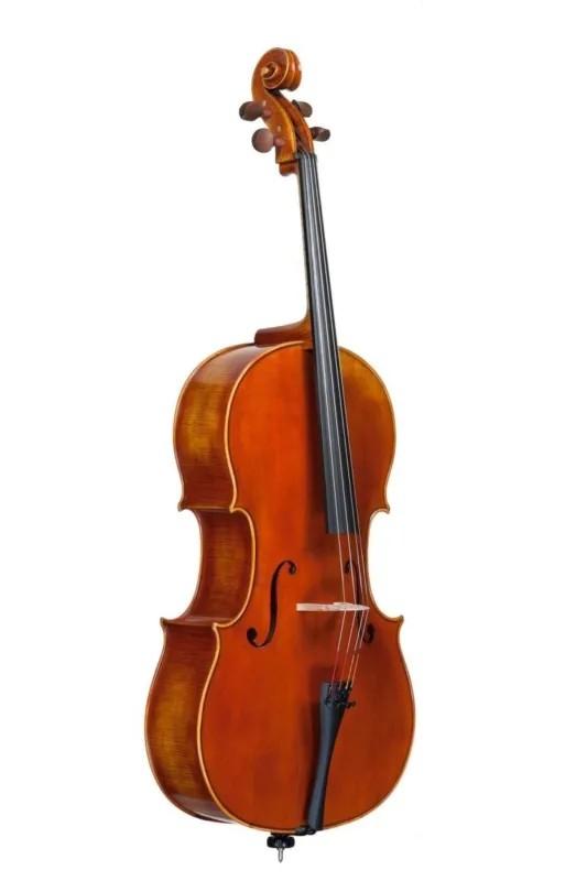 Edgar russ violoncello linea macchi Offerta Del Giorno