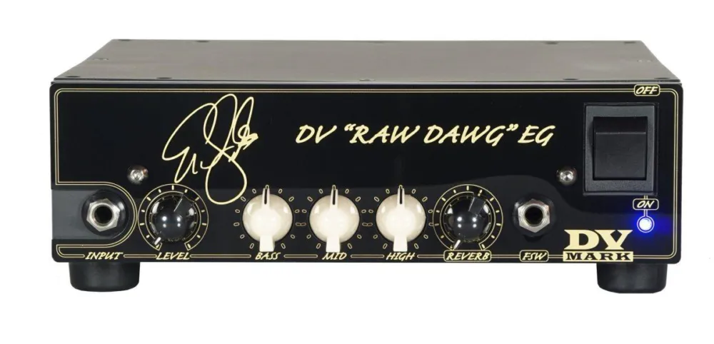 Offerta Lampo Dv mark raw dawg eg testata per chitarra