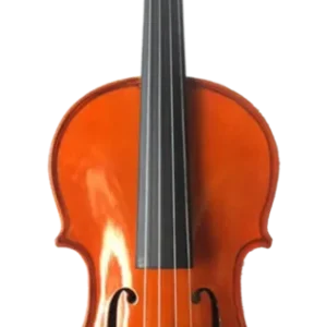 Offerta Del Giorno Bruck P4010S Violino 4/4