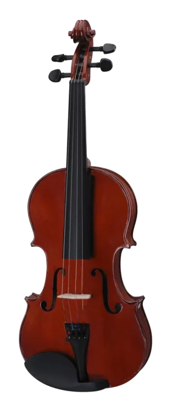 Consegna Rapida Soundsation Virtuoso Student VSVI-12